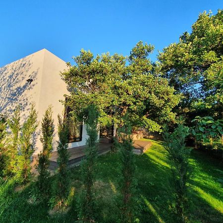 Dekani House G 빌라 외부 사진