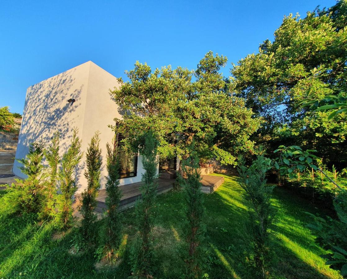 Dekani House G 빌라 외부 사진